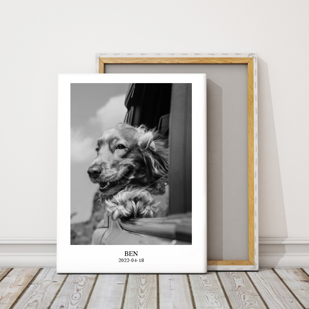 Pet Photo Art